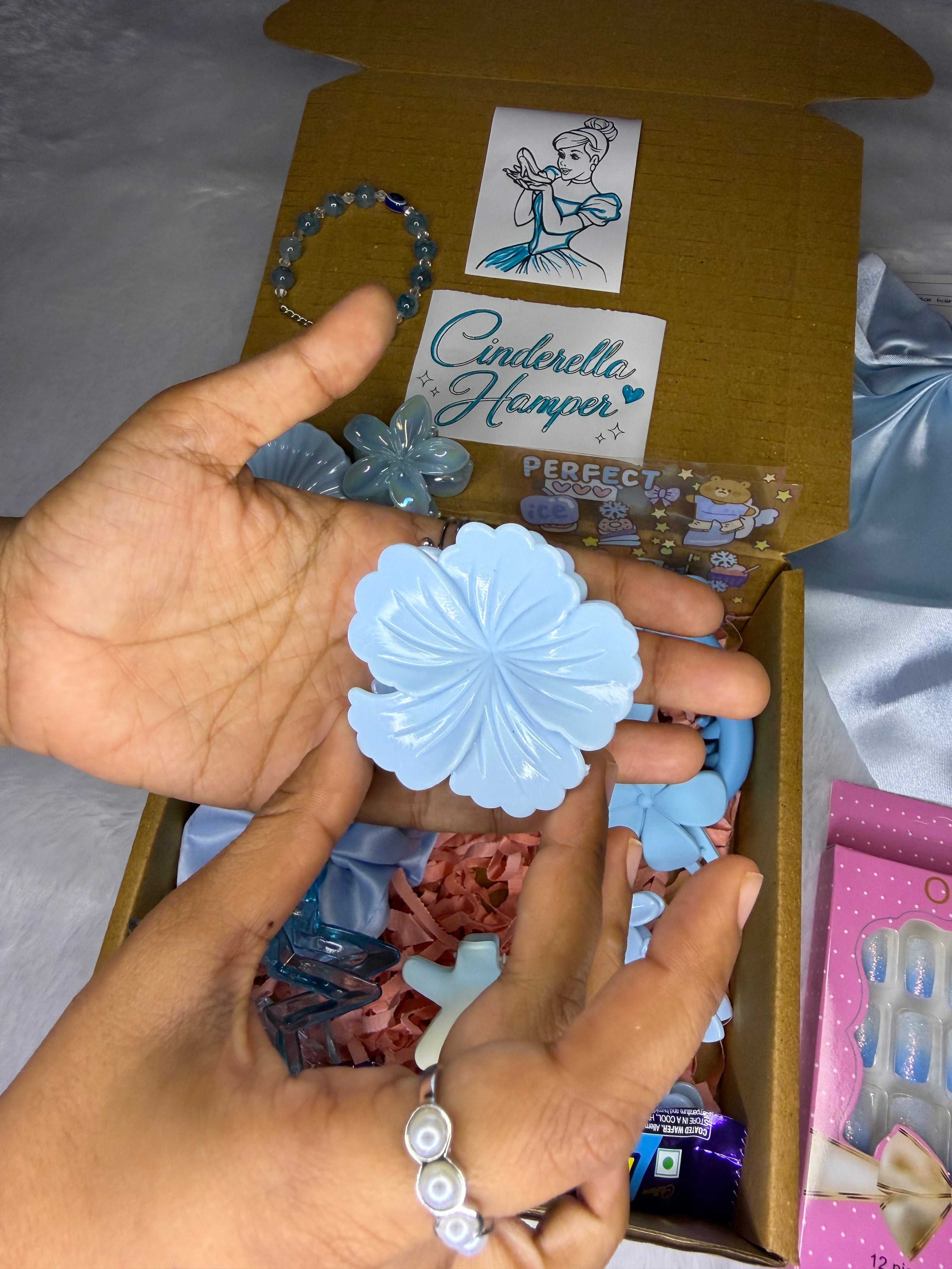 Cinderella’s Clippy Co Hamper 🦋