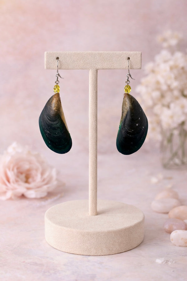 Unique Shell Earrings